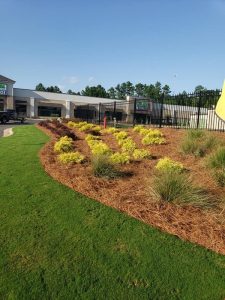 Landscaping in Warner Robins, GA