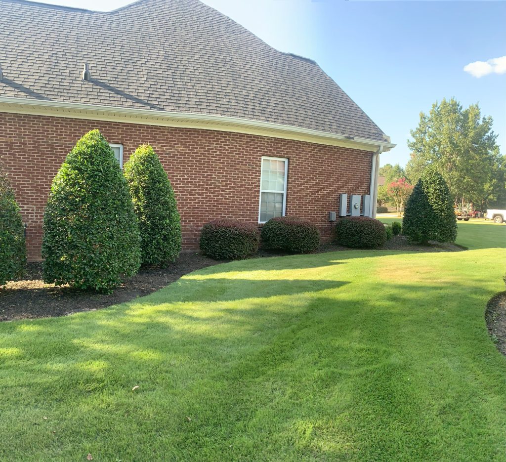 Landscaping in Warner Robins, GA Landscaping in Warner Robins, GA