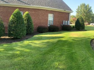 Landscaping in Warner Robins, GA
